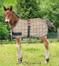 Best JACKS MFG 5/A Baker® Expand-O-Blanket Turnout for Foal & Pony Baker Plaid
