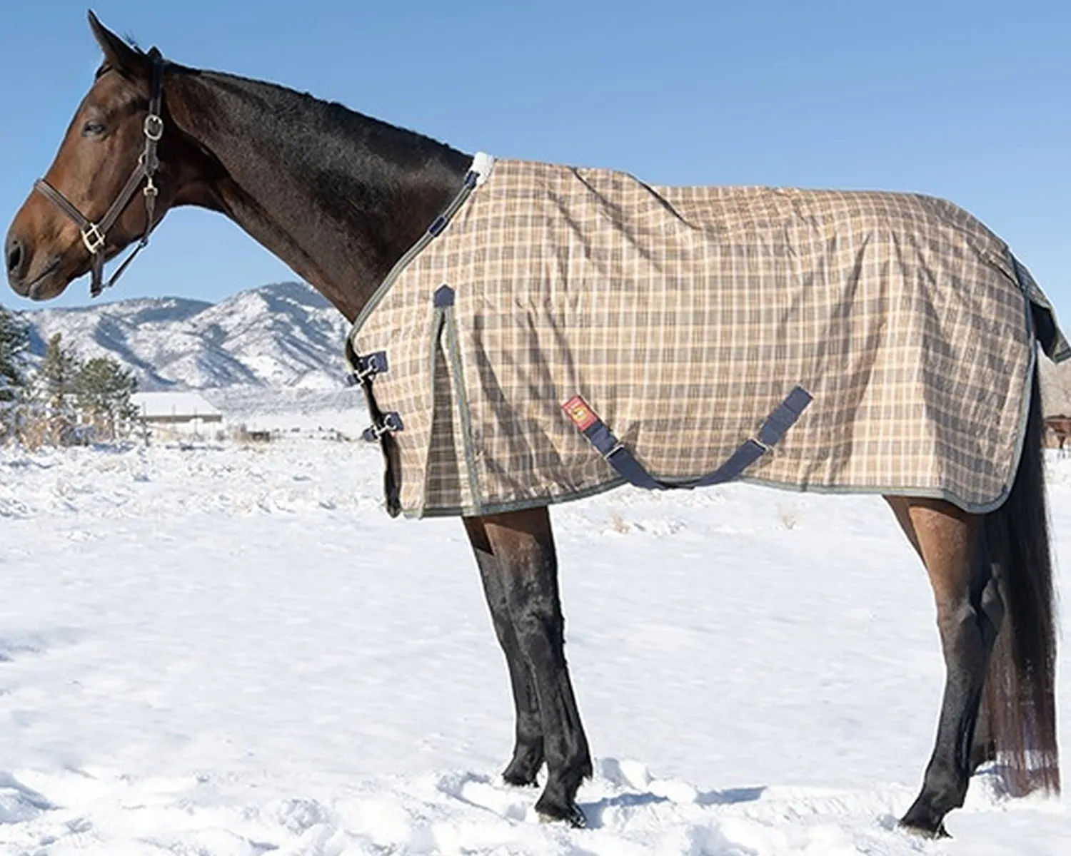 Discount JACKS MFG 5/A Baker® Heavyweight Turnout Blanket Baker Plaid