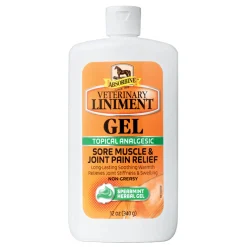 Sale ANIMAL HEALTH INT Absorbine® Liniment Gel