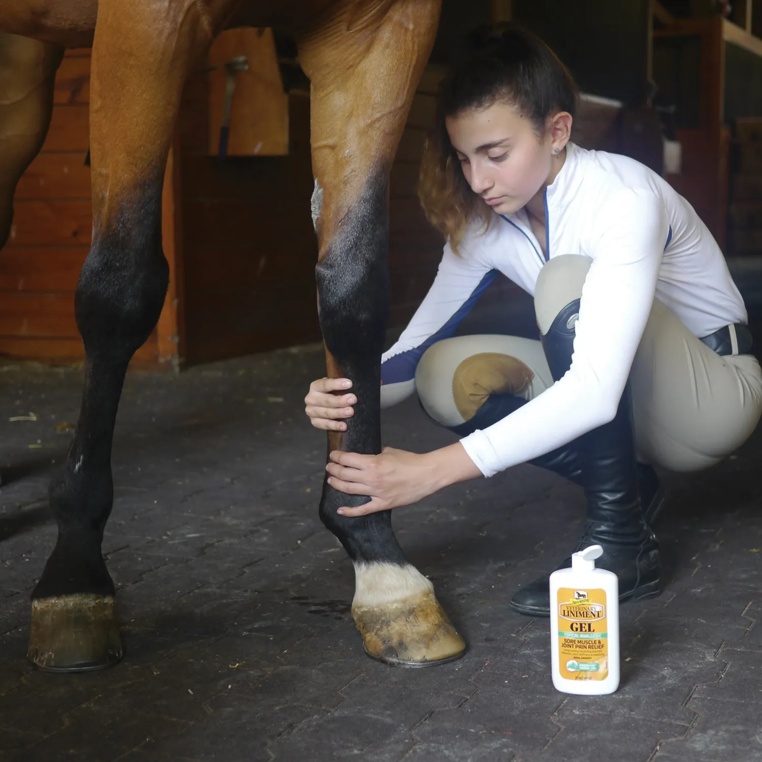 Sale ANIMAL HEALTH INT Absorbine® Liniment Gel