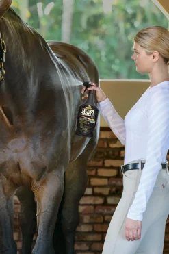 Sale ANIMAL HEALTH INT Absorbine® UltraShield® EX