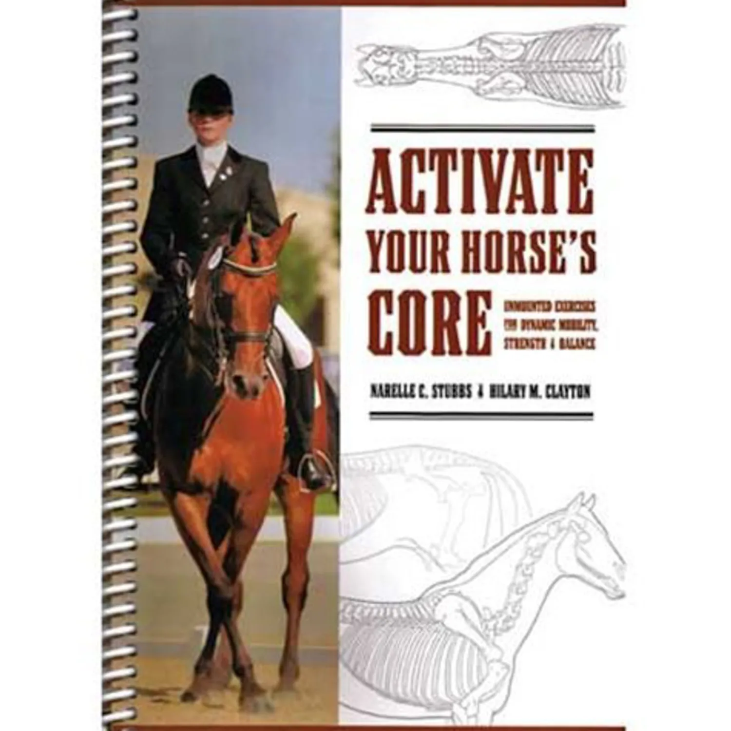 Outlet SPORT HORSE PUBLICAT Activate Your Horses Core