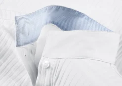 Online HORSEWARE Alessandro Albanese Long Sleeve Aurora Shirt