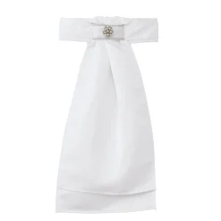 Clearance ALL TIED UP Fancy Stock Tie