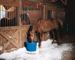 ANIMAL HEALTH INT API® 20-Quart Heated Flatback Bucket Blue