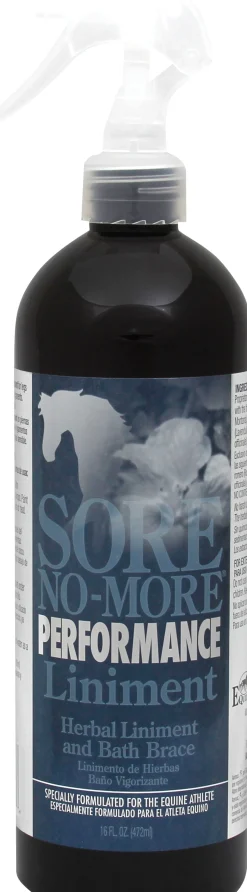 Outlet RJ MATTHEWS Arenus® Sore No-More® Performance Liniment Spray