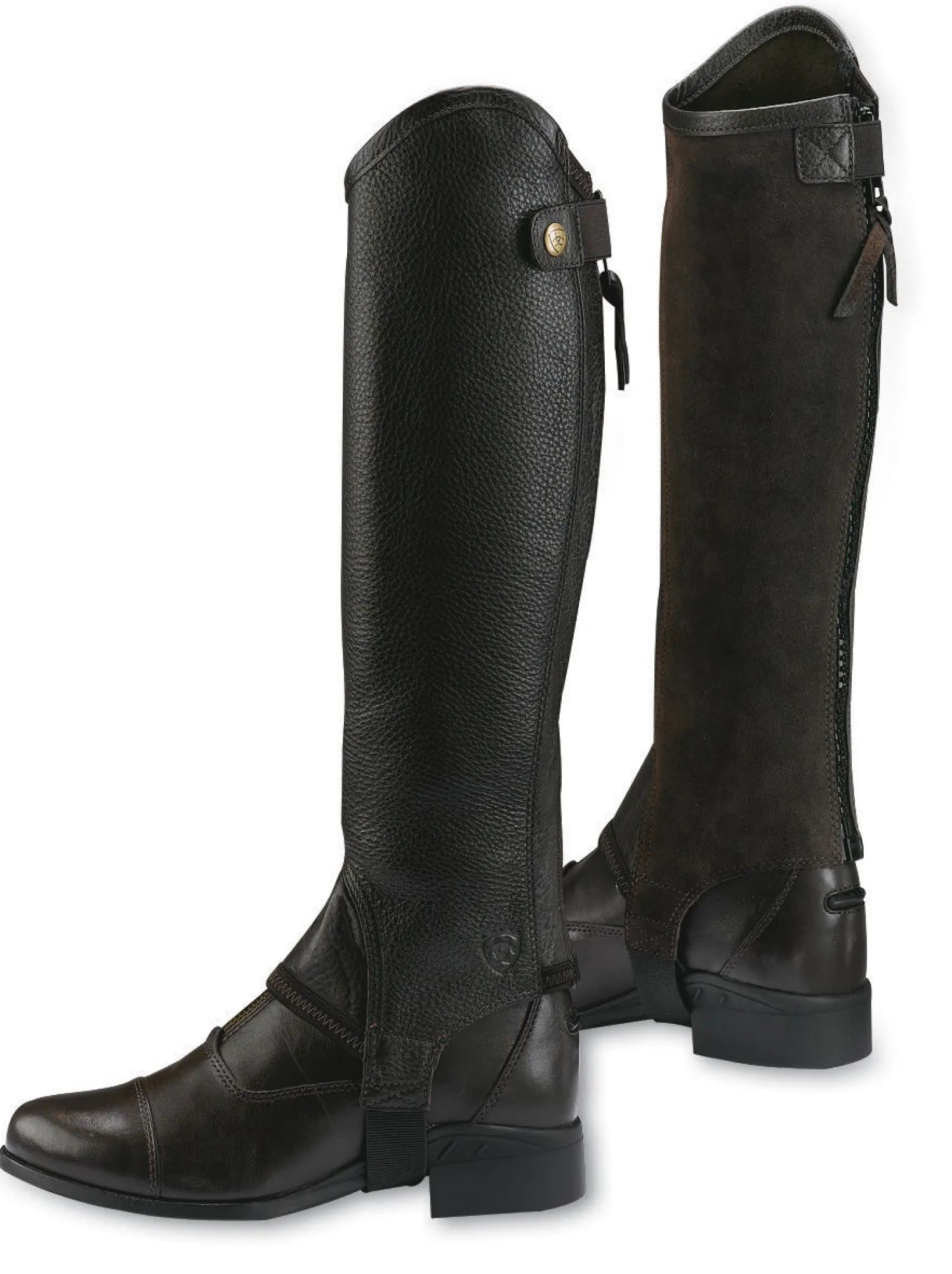 Discount ARIAT ® Concord Half Chaps
