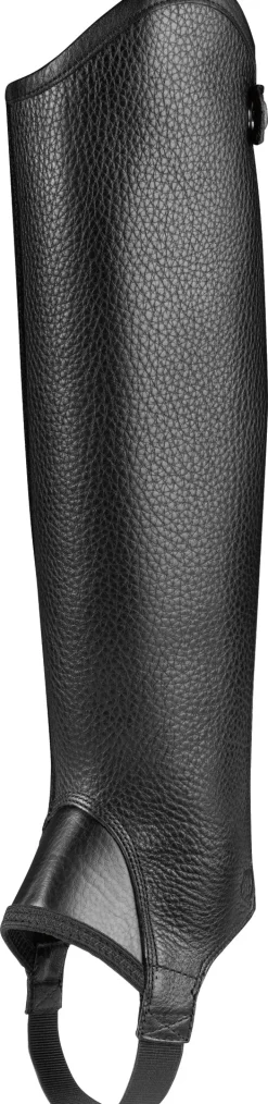 Discount ARIAT ® Concord Half Chaps