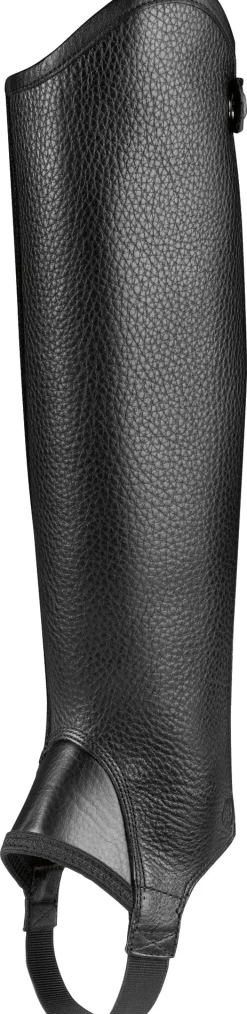 Discount ARIAT ® Concord Half Chaps