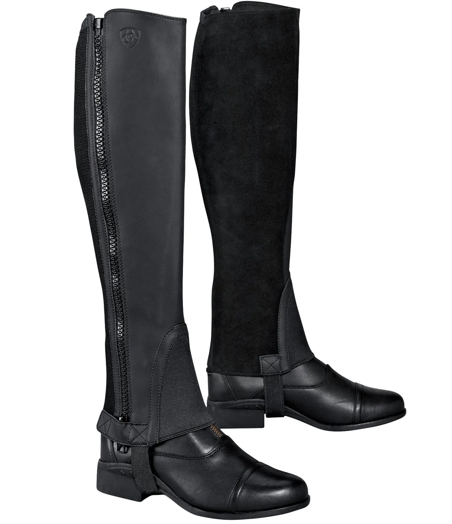 Best ARIAT ® Scout Half Chap Black