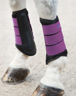 Online SHIRES EQUESTRIAN ARMA Air Motion Brushing Boots