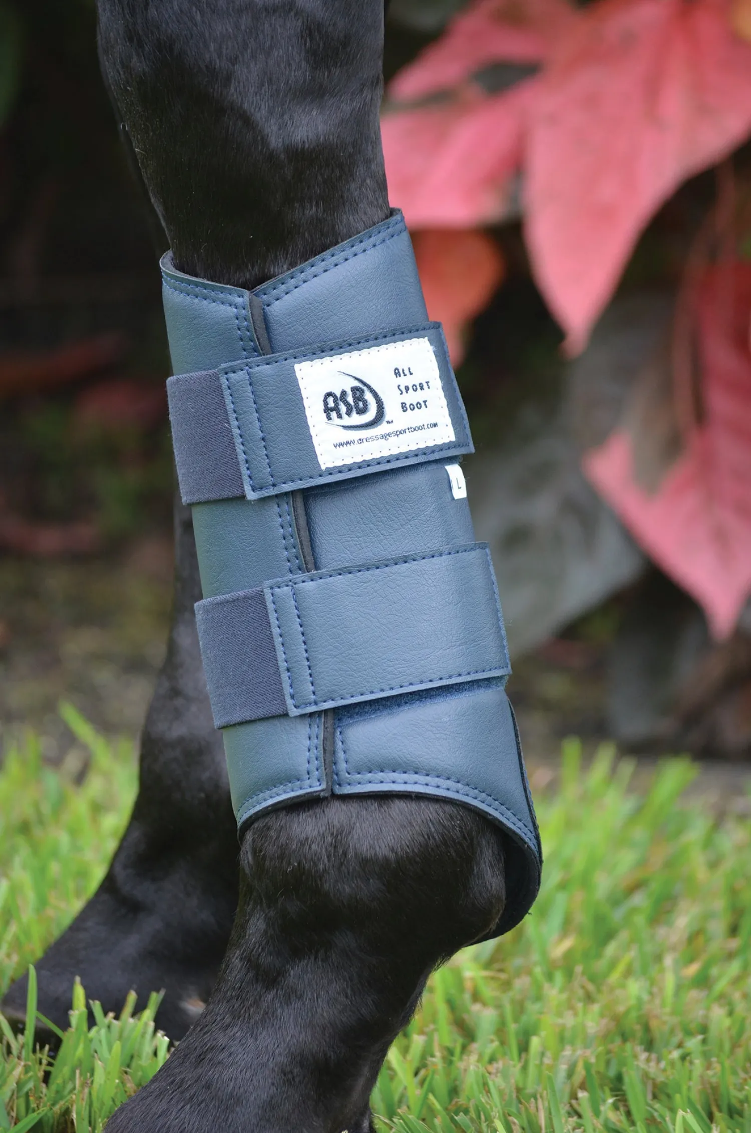 Outlet DRESSAGE SPORT BOOTS ASB® All Sport Horse Boots