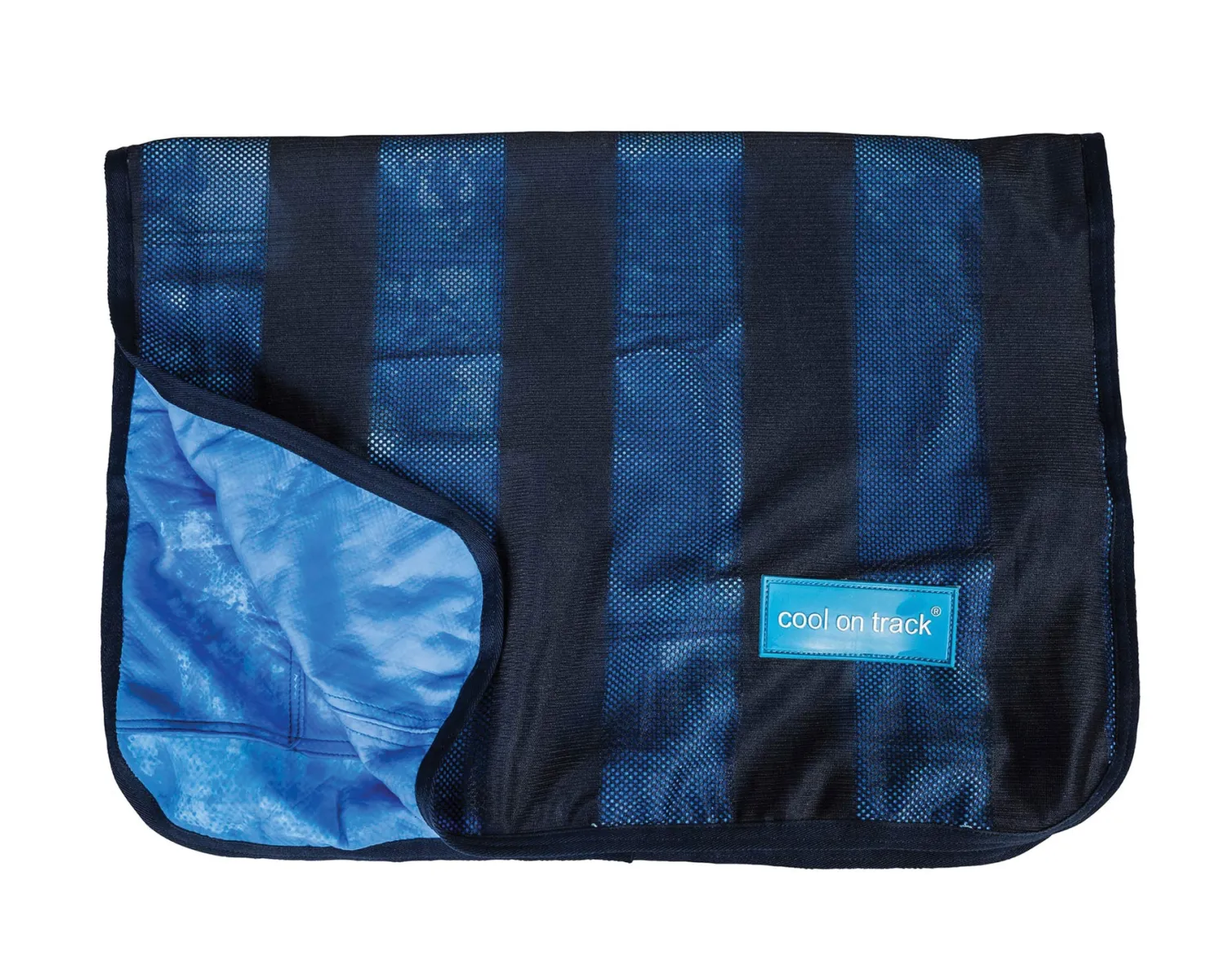 Clearance BACK ON TRACK BOT LL Back on Track® Cool on Track® Towel Blue
