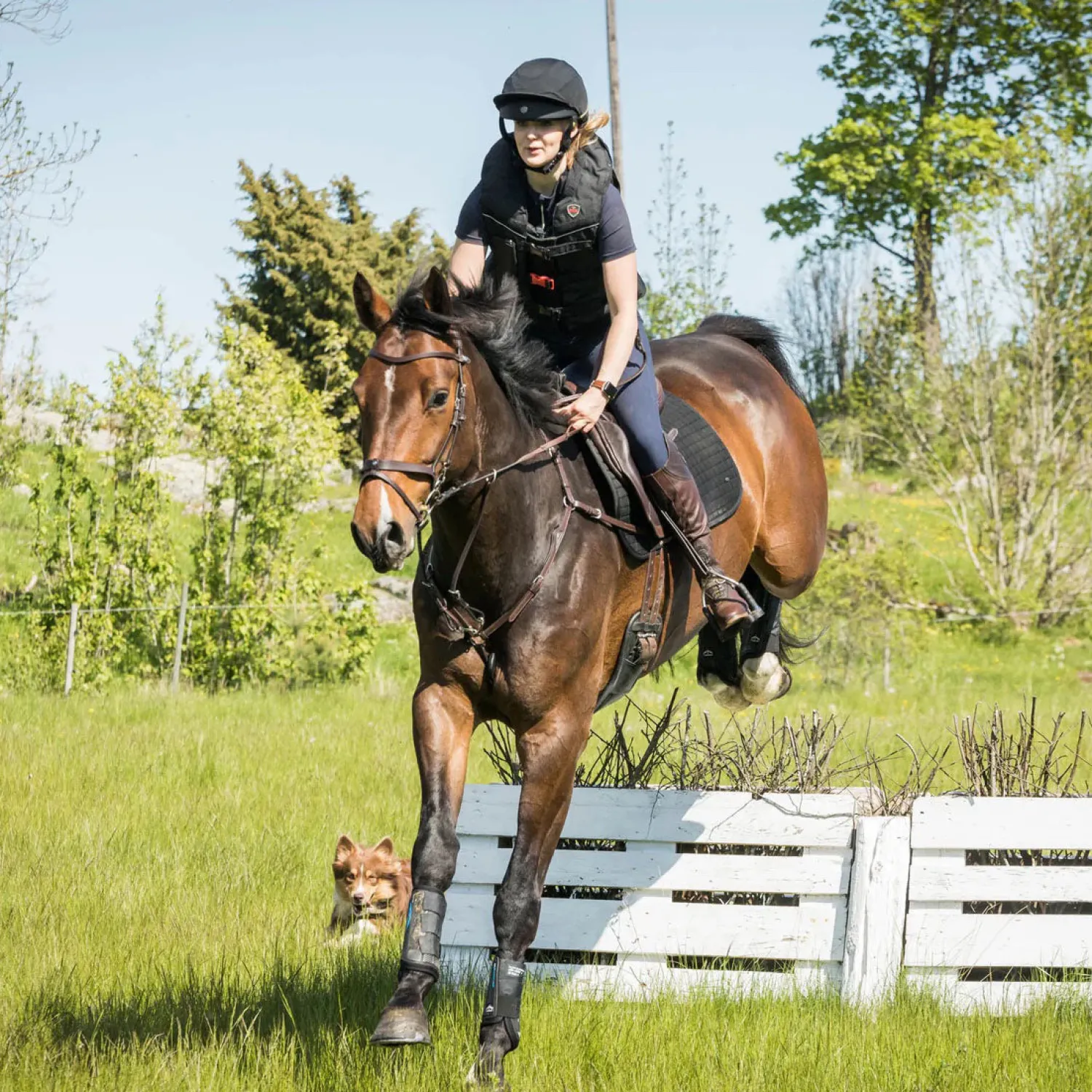 Outlet BACK ON TRACK BOT LL Back on Track® Deep Nights Brush Boots