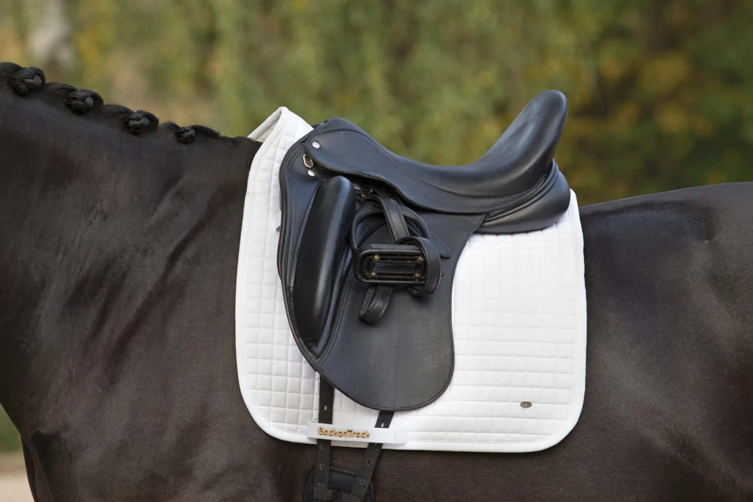 Discount BACK ON TRACK BOT LL Back on Track® Dressage Pad