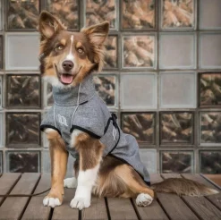 Discount BACK ON TRACK BOT LL Back on Track® Nella Medium Dog Coat