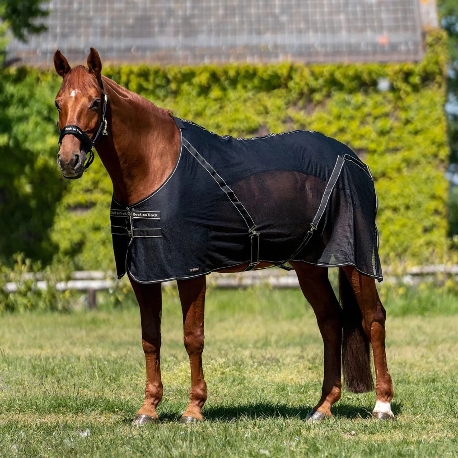 Online BACK ON TRACK BOT LL Back on Track® Sienna Mesh Cooler with Knitted Lining Black