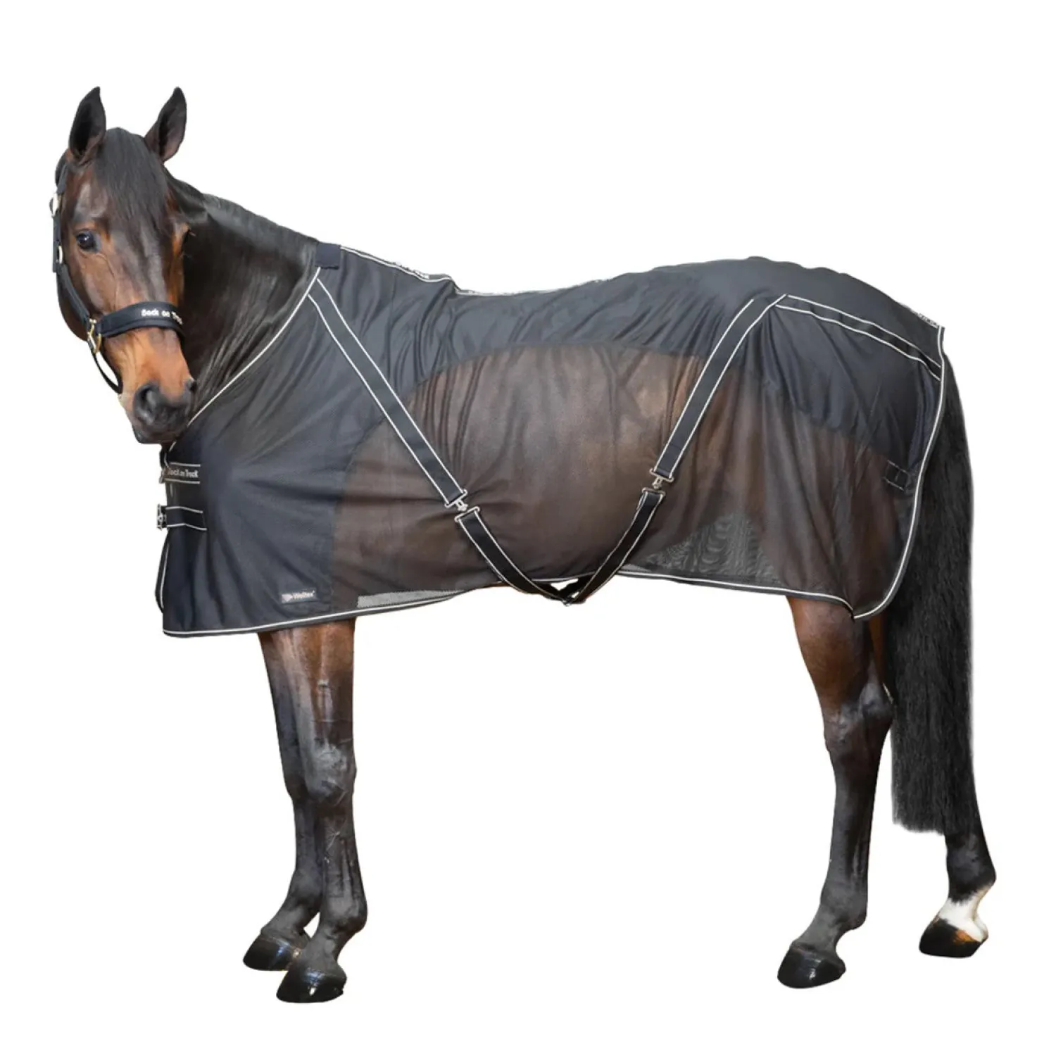 Online BACK ON TRACK BOT LL Back on Track® Sienna Mesh Cooler with Knitted Lining Black