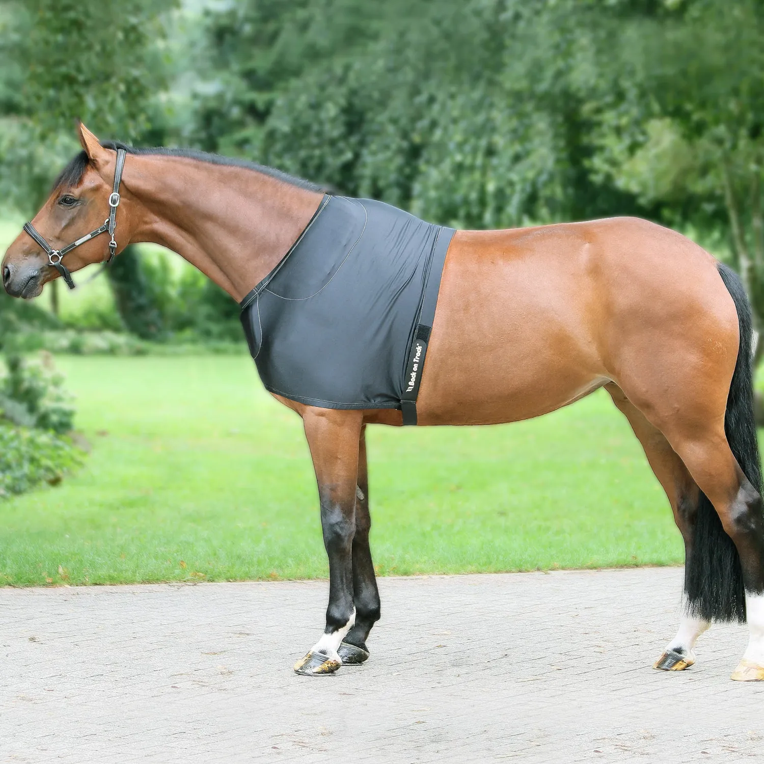 BACK ON TRACK BOT LL Back on Track® Therapeutic Equine Shoulder Guard with Pads Black
