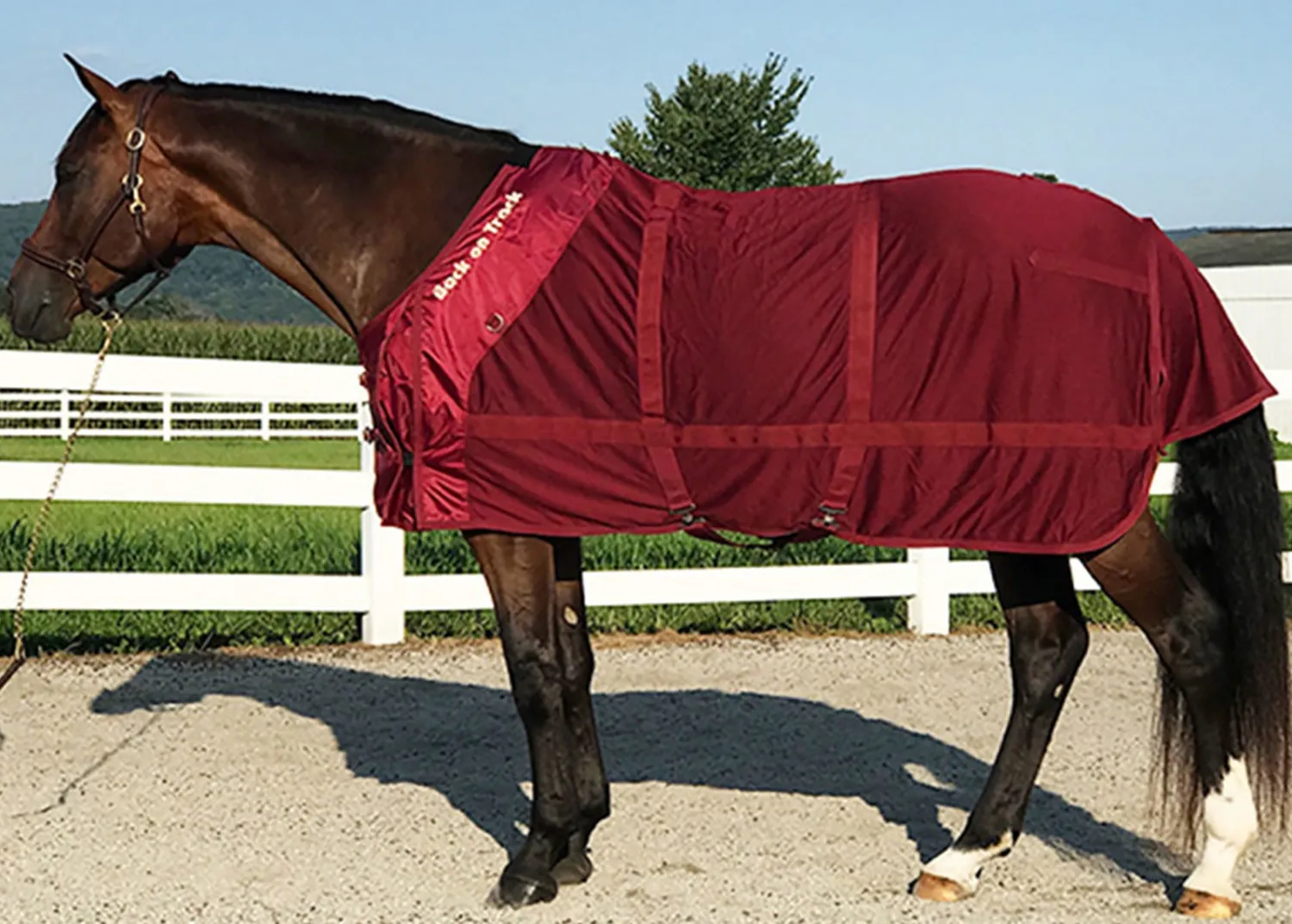 New BACK ON TRACK BOT LL Back on Track® Therapeutic Mesh Horse Sheet
