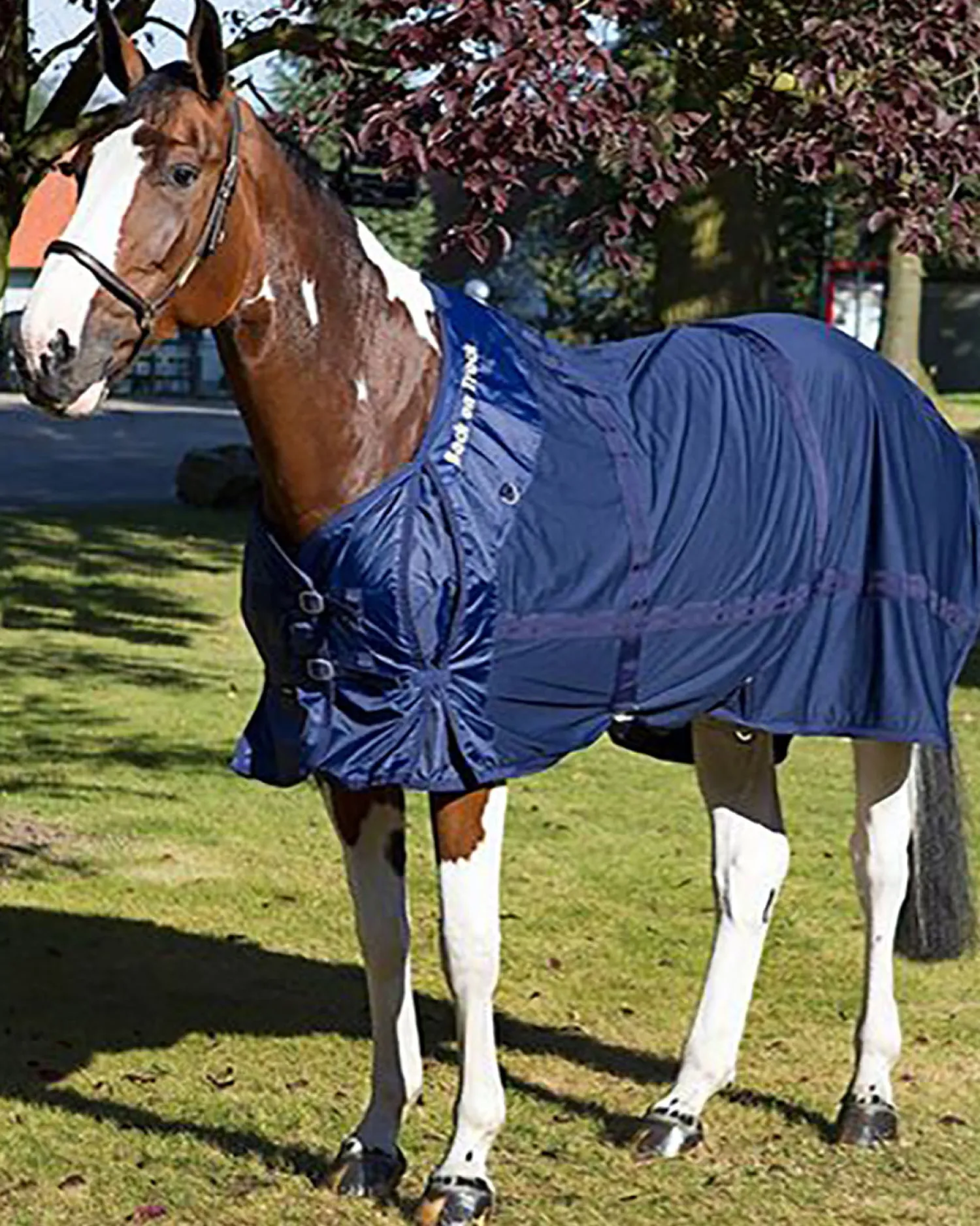 New BACK ON TRACK BOT LL Back on Track® Therapeutic Mesh Horse Sheet