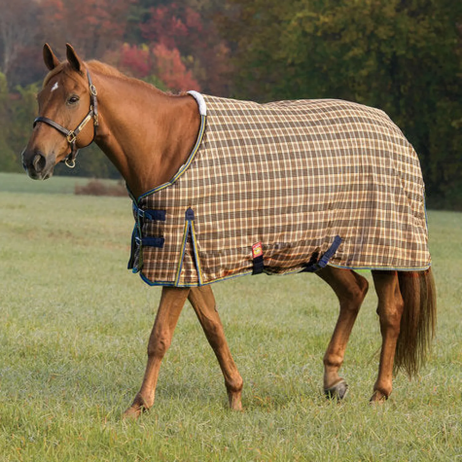 Best JACKS MFG Baker® Medium Weight Turnout Blanket Original Plaid