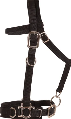 Clearance MUSTANG MFG Balance Complete Training System Brown