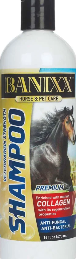 Outlet ANIMAL HEALTH INT Banixx® Horse & Pet Care Medicated Shampoo with Collagen