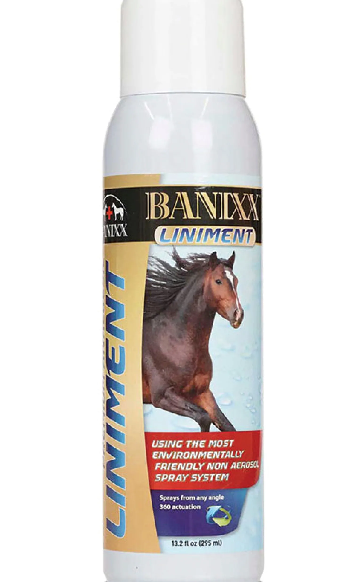 Best ANIMAL HEALTH INT Banixx® Liniment Spray