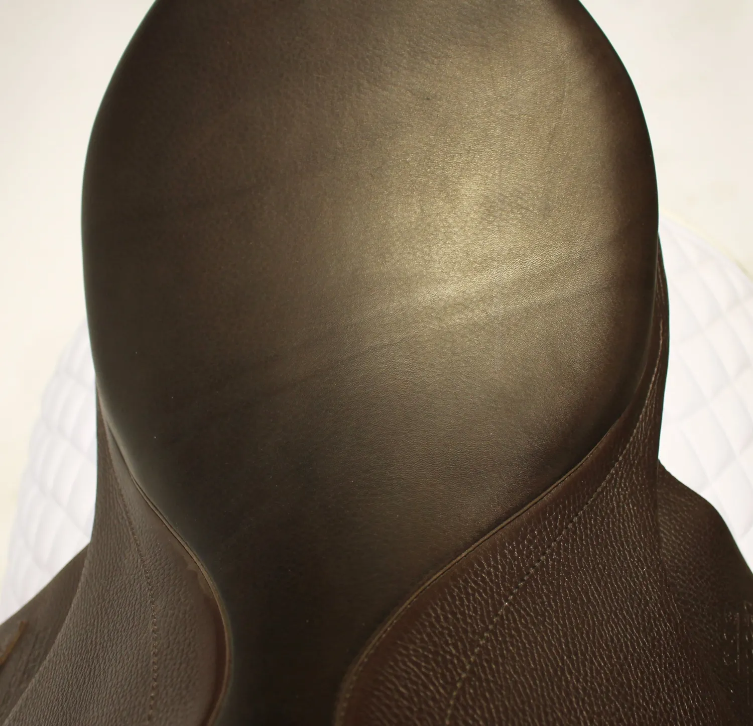 Sale SADDLERY BRANDS INTL Bates Luxe Leather Dressage Webbers Classic Black