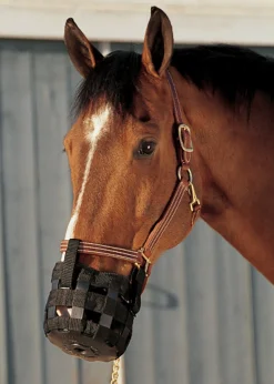 Discount INTREPID INTL Best Friend® Grazing Muzzle