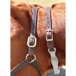 Hot INTREPID INTL Best Friend® Hinged Cribbing Strap
