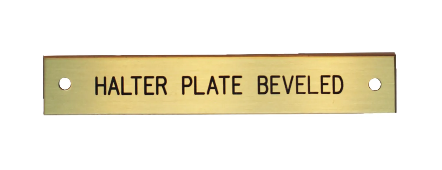 DOVER DROPSHIP Beveled Edge Halter Nameplate - 1 or 2 lines