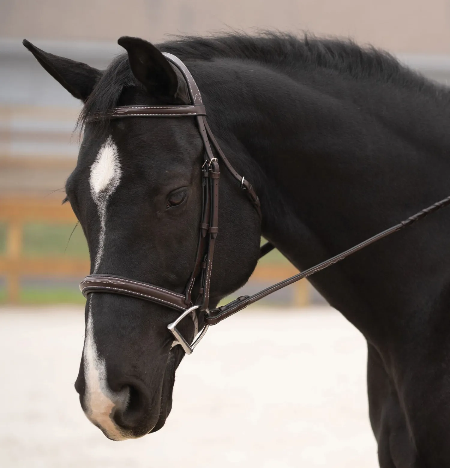 Sale KL SELECT Black Oak Cypress Hunter Bridle Brown