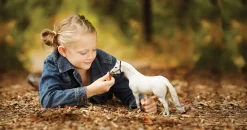 REEVES INTERNATIONAL Breyer® Traditional® Snowman