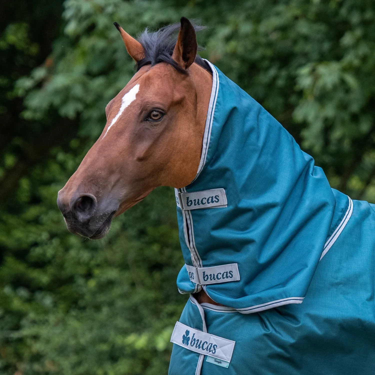 Best TOKLAT ORIGINALS Bucas Atlantic 200 Gram Turnout Blanket