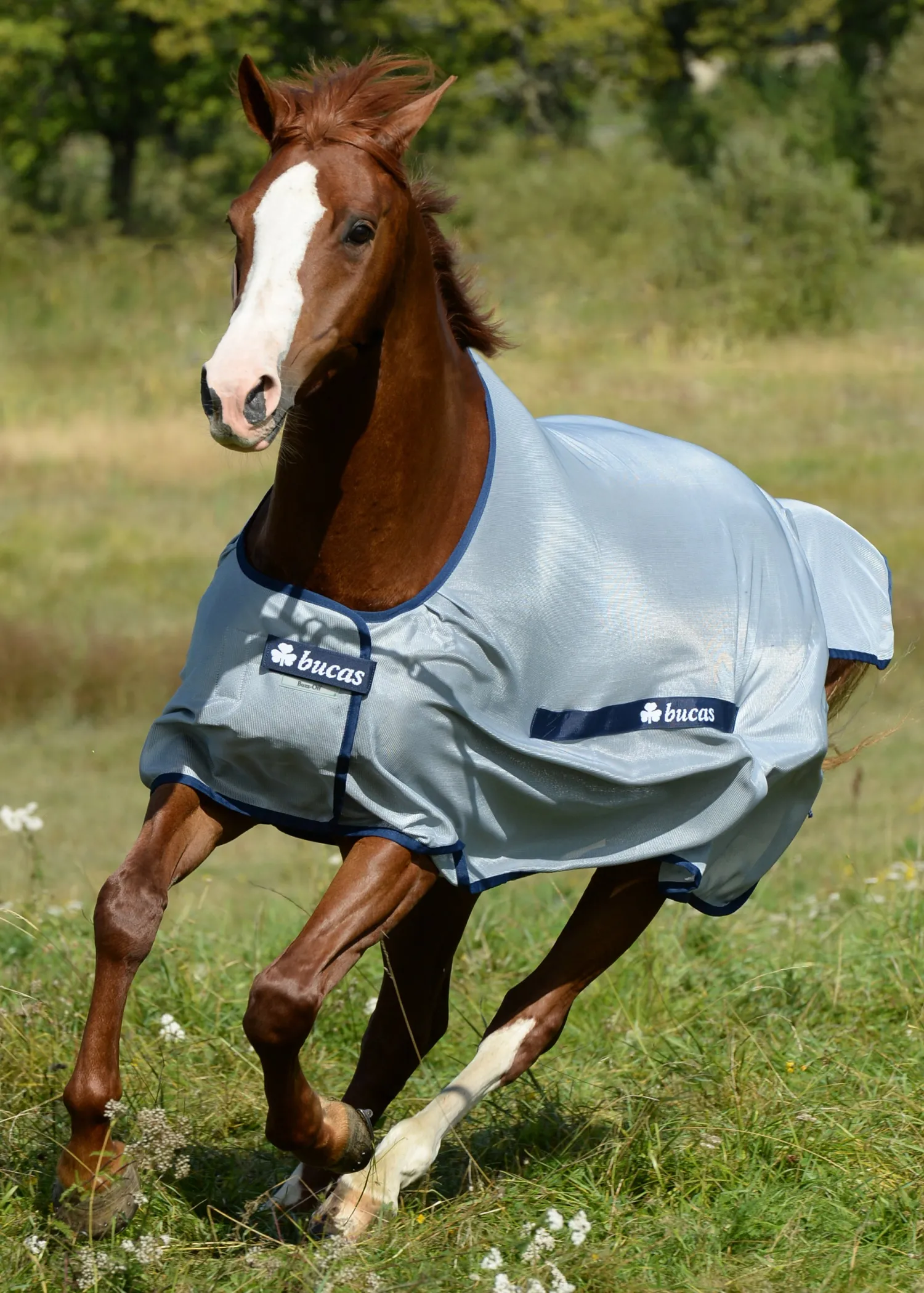 Clearance TOKLAT ORIGINALS Bucas Buzz-Off Classic Fly Sheet Silver