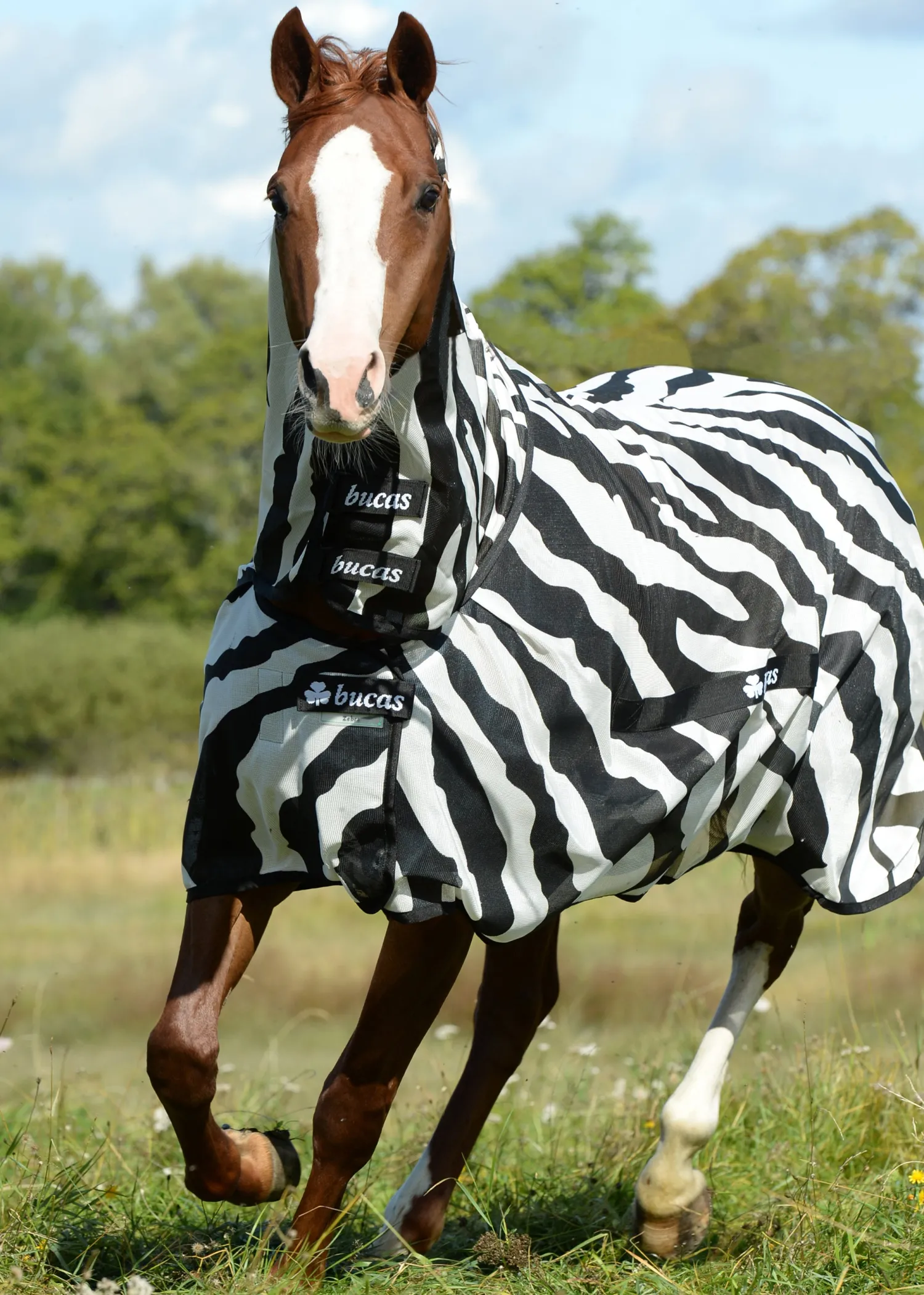 New TOKLAT ORIGINALS Bucas Buzz-Off Fly Sheet with High Neck Zebra