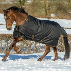 Best TOKLAT ORIGINALS Bucas Irish Extra Classic Heavyweight Turnout Blanket