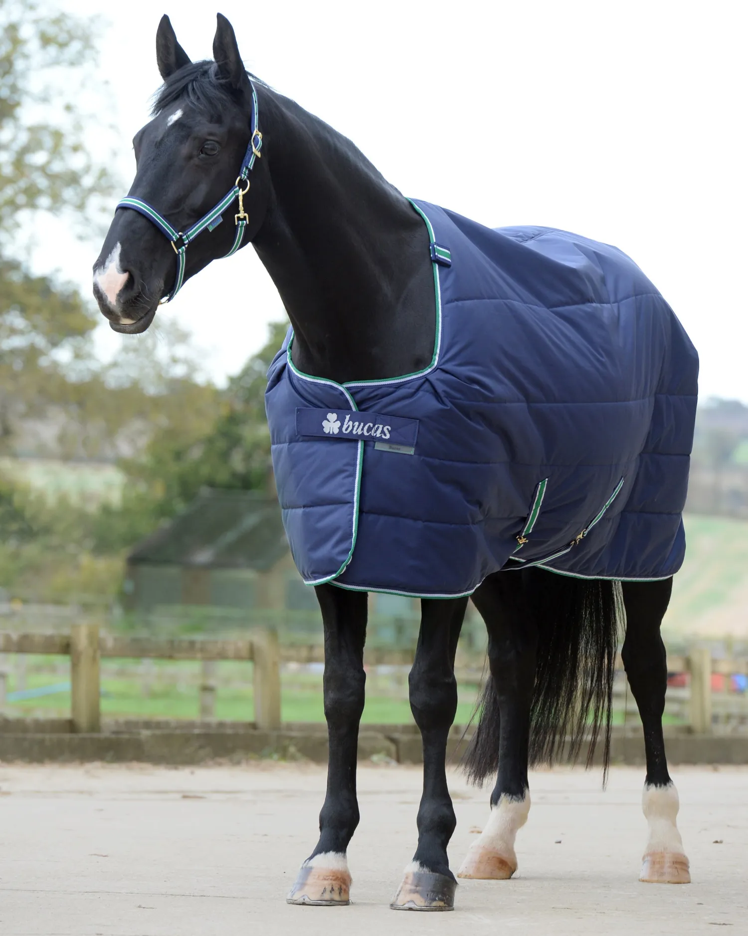 Outlet TOKLAT ORIGINALS Bucas Quilt Medium-Weight Stable Blanket with Stay Dry™ Lining - 150 grams Navy