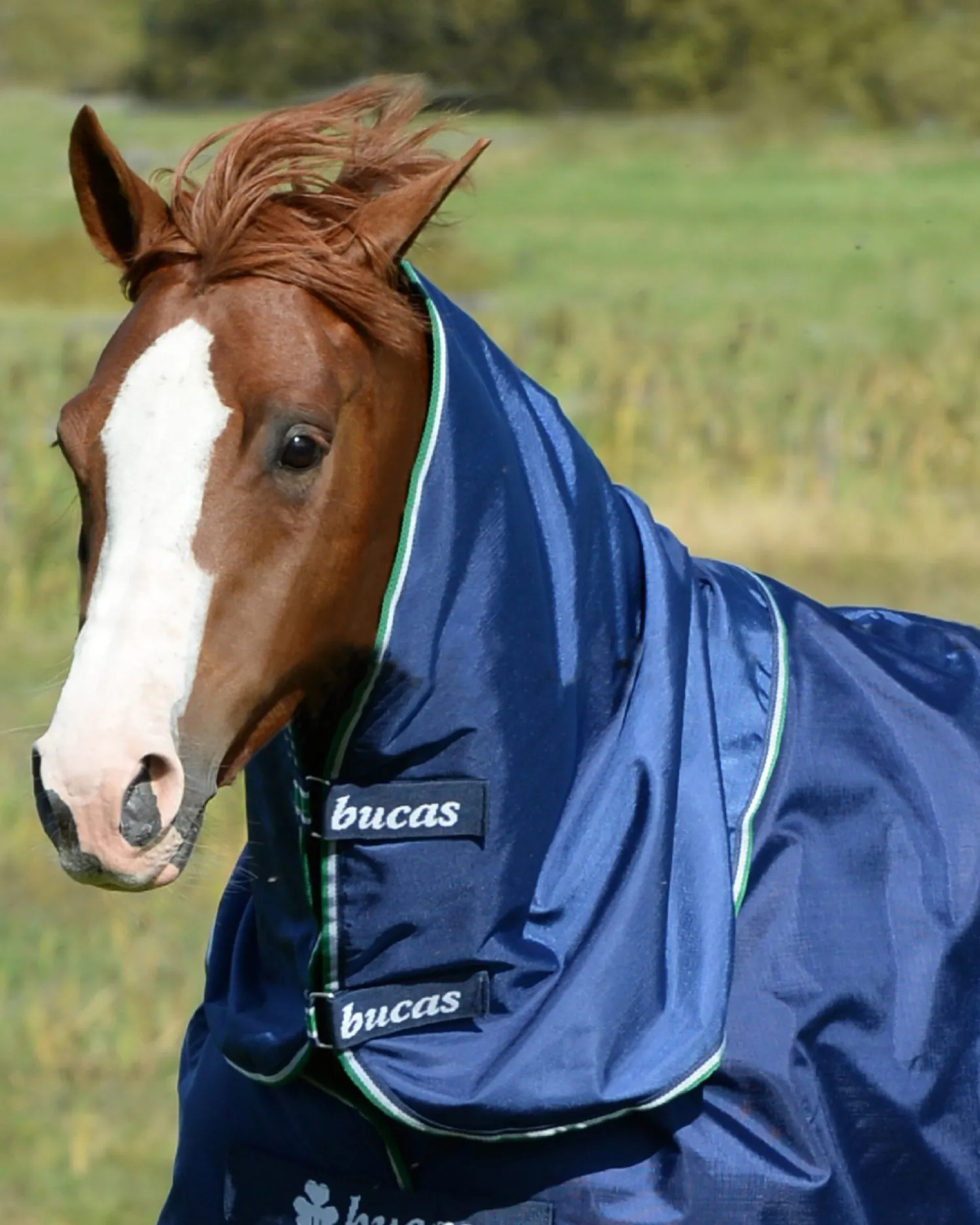 Hot TOKLAT ORIGINALS Bucas Smartex Combi Neck Cover Navy