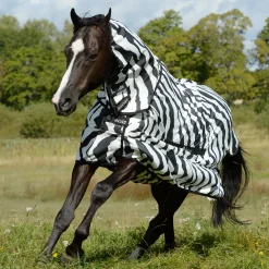 Discount TOKLAT ORIGINALS Bucas Sweet Itch with Full Neck Zebra