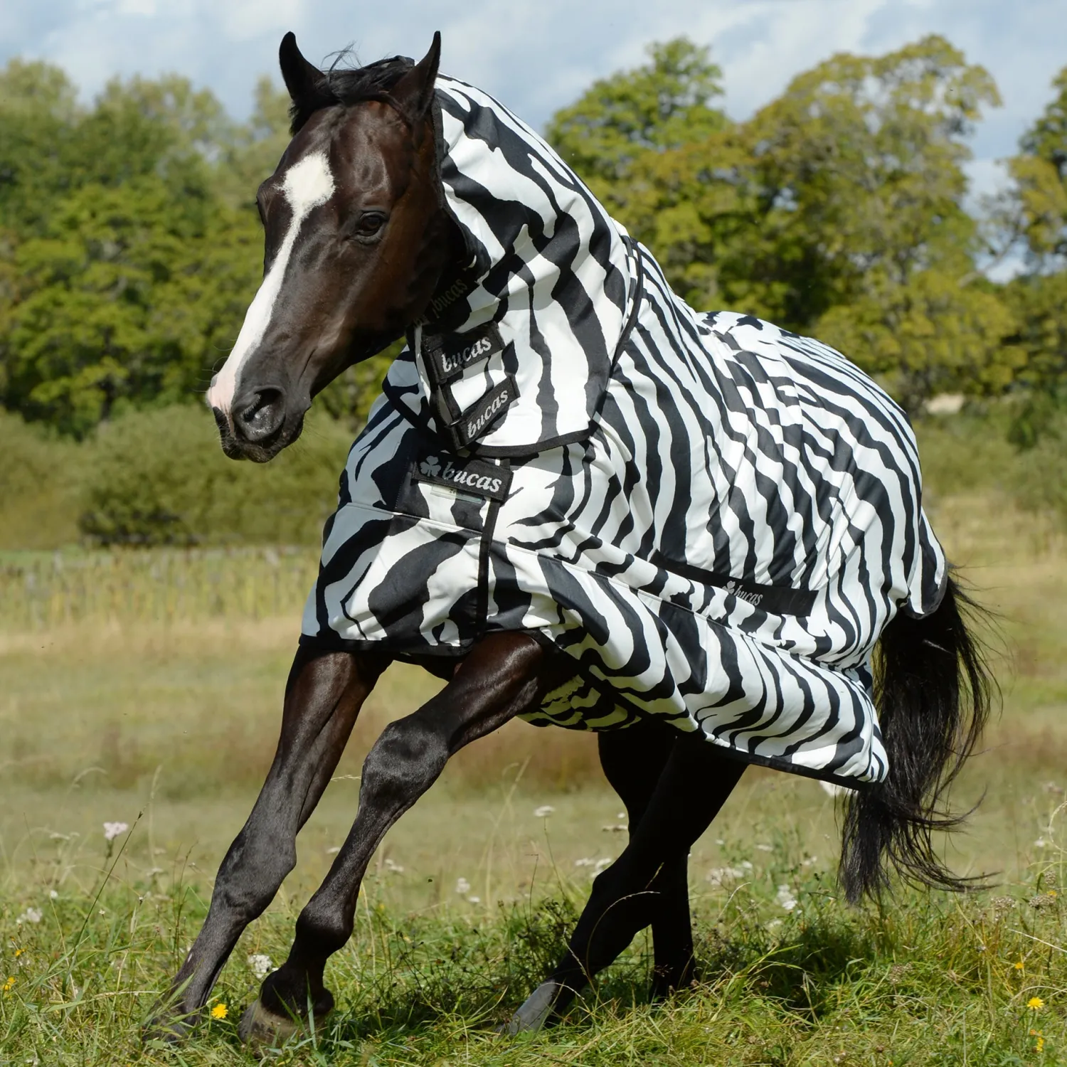 Discount TOKLAT ORIGINALS Bucas Sweet Itch with Full Neck Zebra