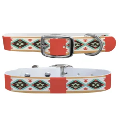 SWYFT PRINTS/C4 C4 Dog Collar