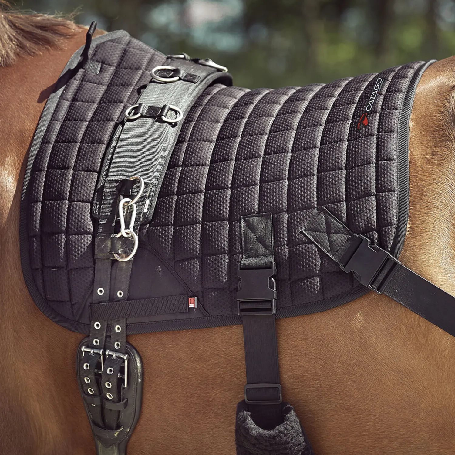 Online ERS Catago® FIR-Tech Training Saddle Pad Black