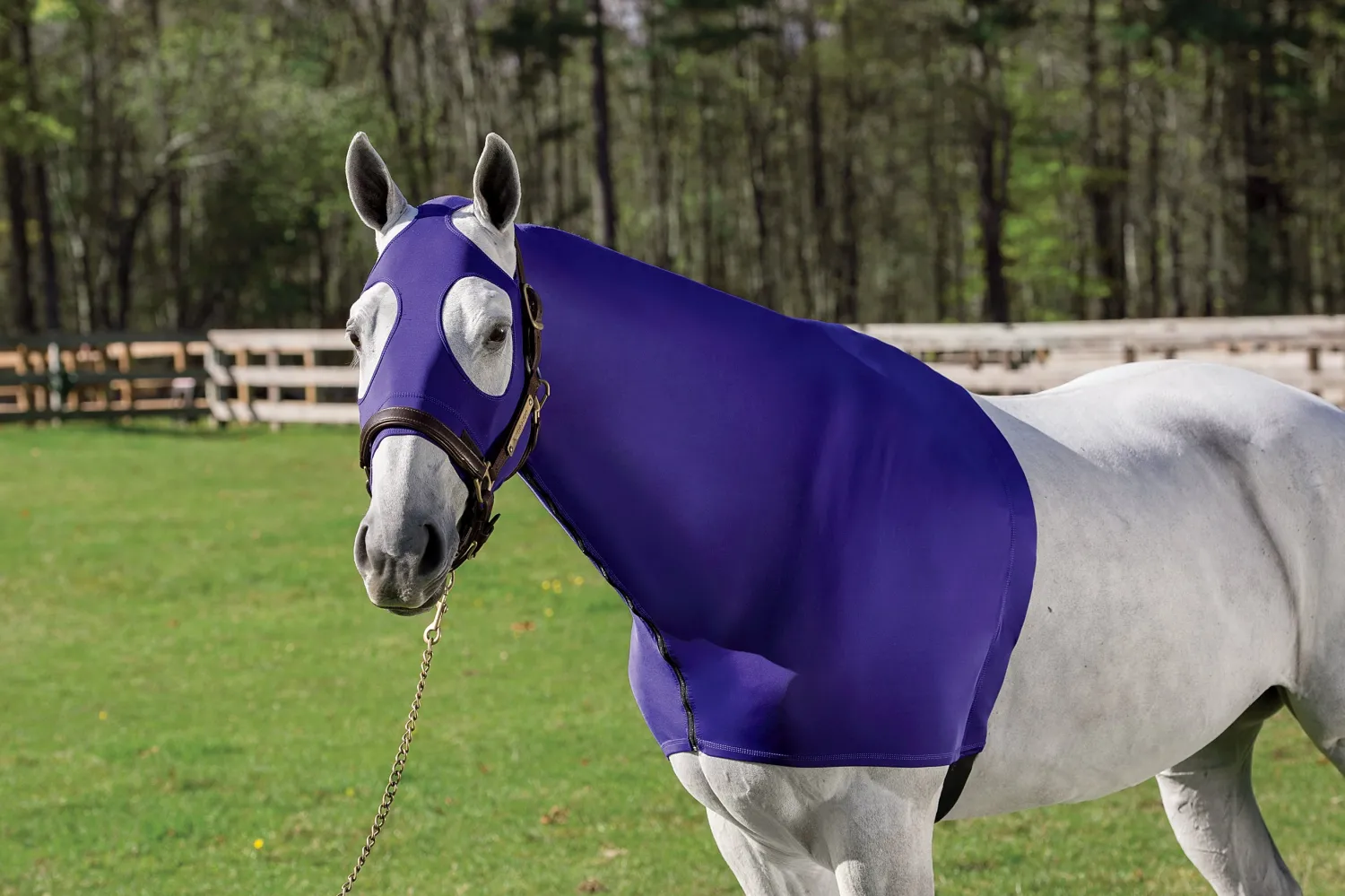New ERS Centaur® Lycra Hood with Zipper