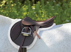 Outlet CUEROS SANTA CRUZ Circuit™ Premier Special DS Saddle Chocolate
