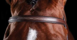 Hot WEATHERBEETA Collegiate® ComFiTec™ Fancy-Stitched Bridle