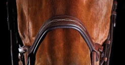 Hot WEATHERBEETA Collegiate® ComFiTec™ Fancy-Stitched Bridle