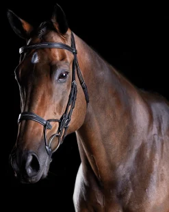Hot WEATHERBEETA Collegiate® ComFiTec™ Fancy-Stitched Bridle